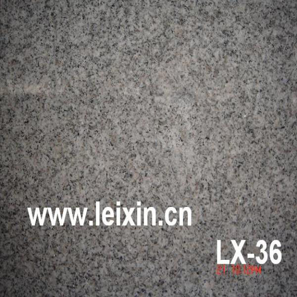 LX-36 乳山白 G362
