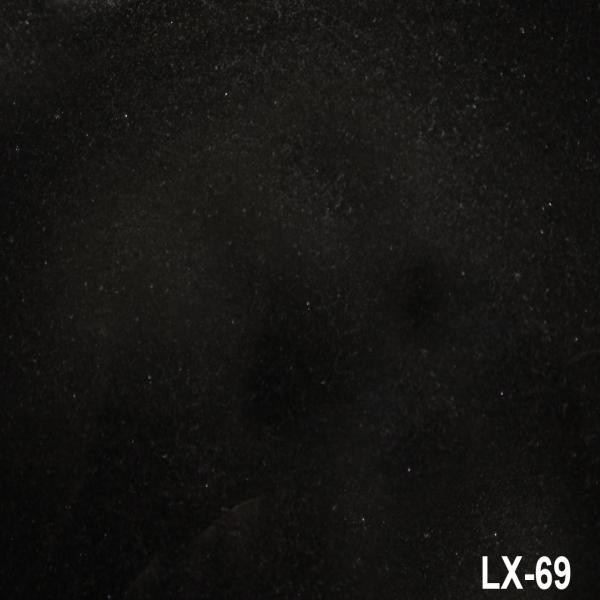 LX-69 山西黑 G342